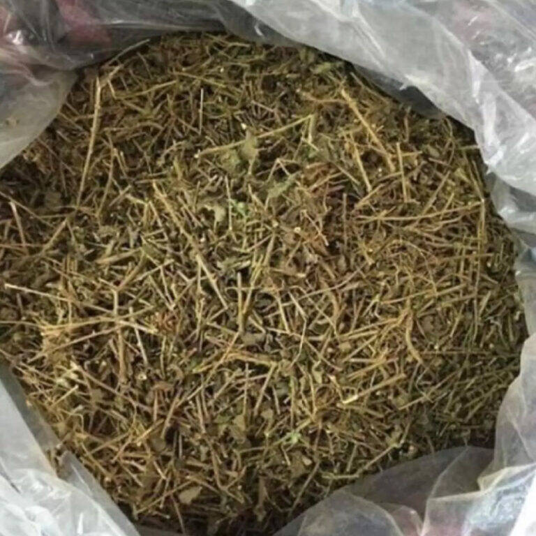 500g cỏ sữa