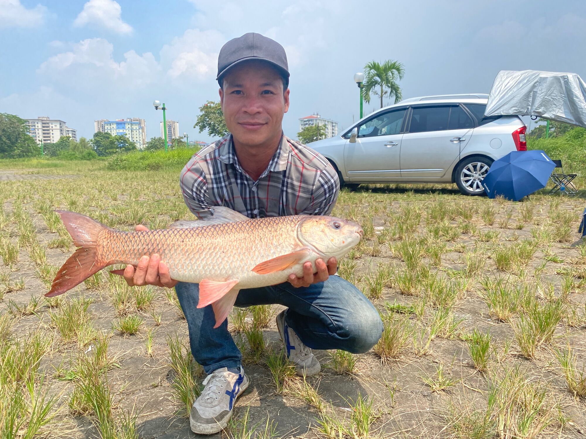 Mồi câu Mè nanber 700gram + 7