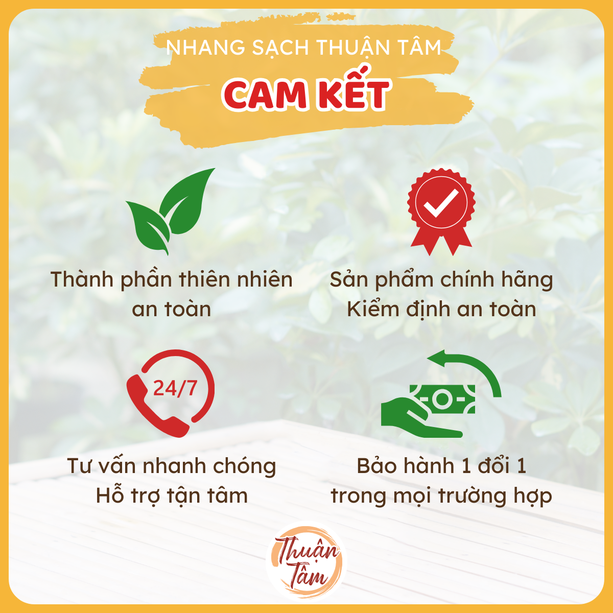 [NỤ QUẾ] Nhang Sạch Thuận Tâm - Nhang Quế - ít khói, dịu nhẹ, nhang xanh, hương quế. 