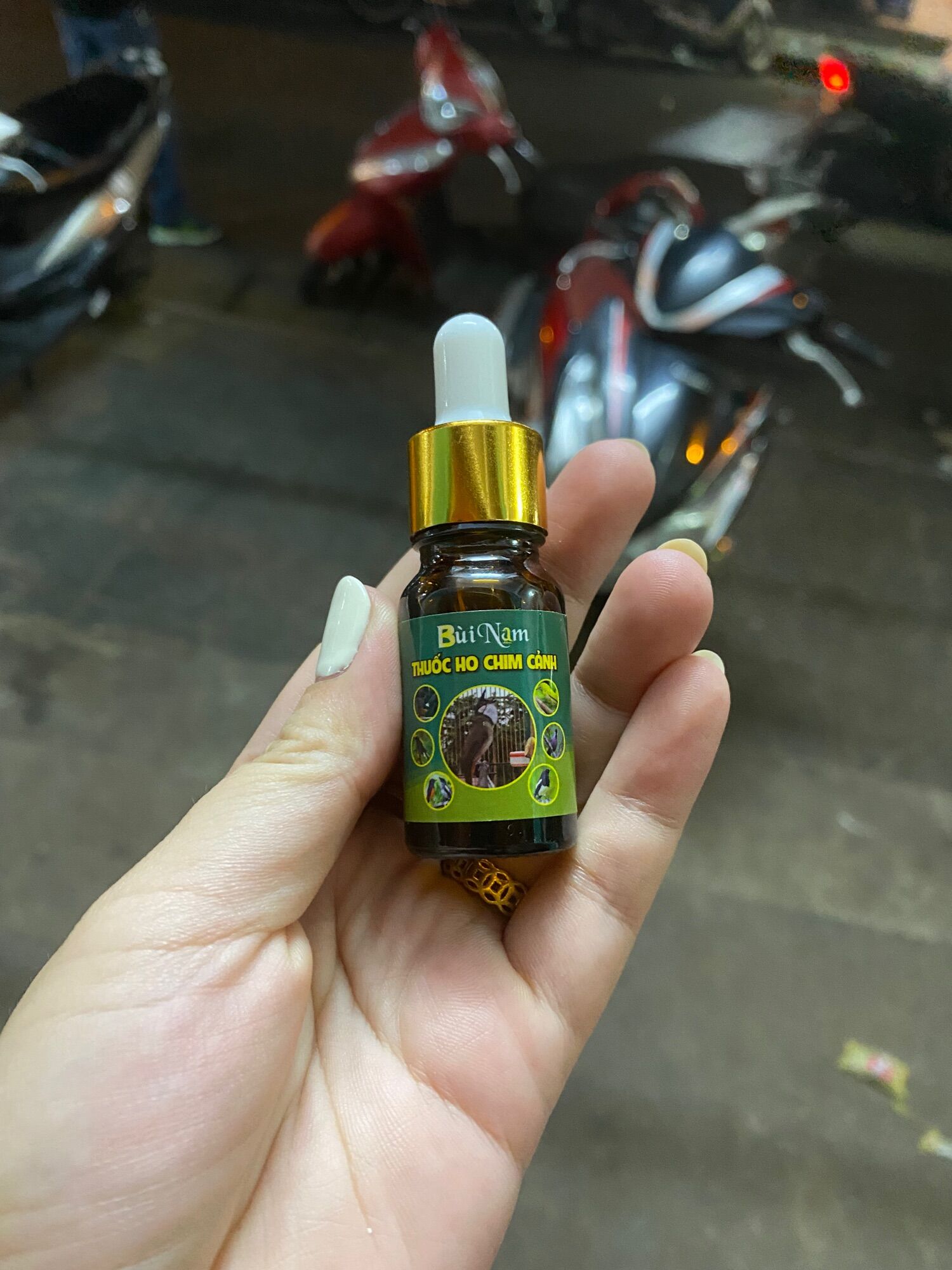 Nước ho chim cảnh Bùi Nam