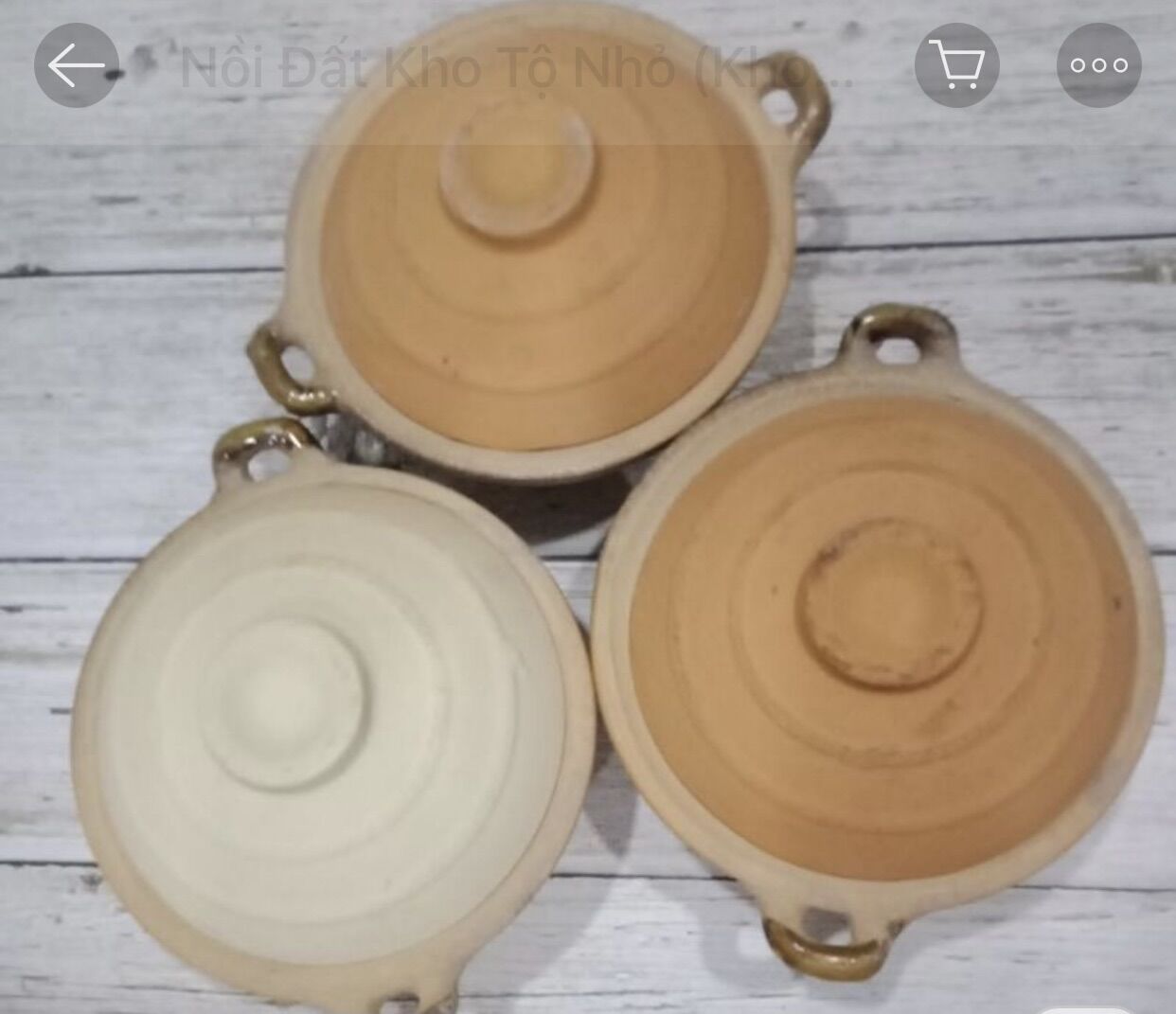 Nồi đất trong lồng tráng men size lớn (20,5x14x8,5)