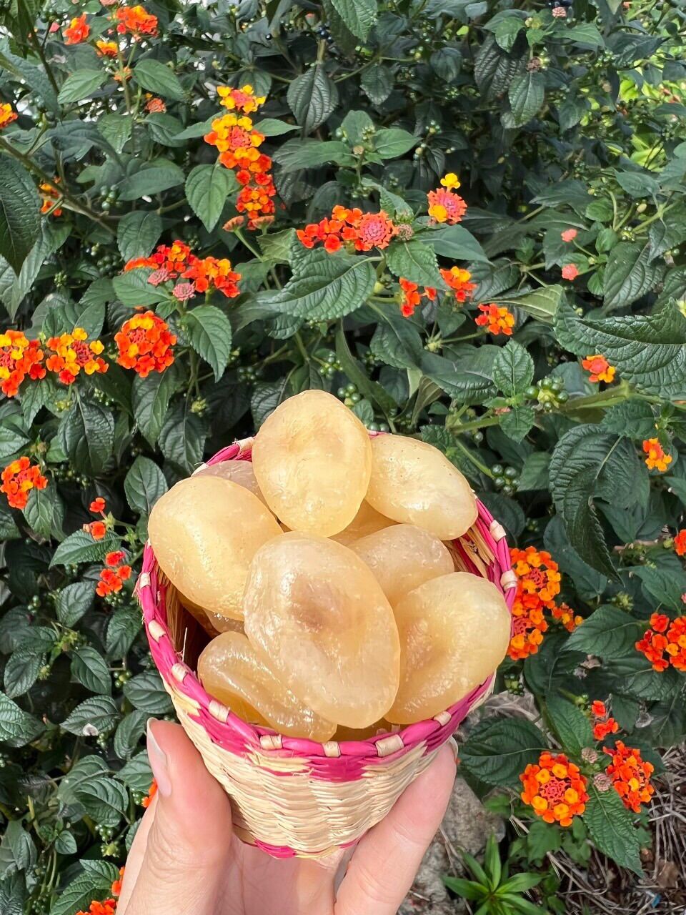 Mứt chanh bao tử gói 500gr