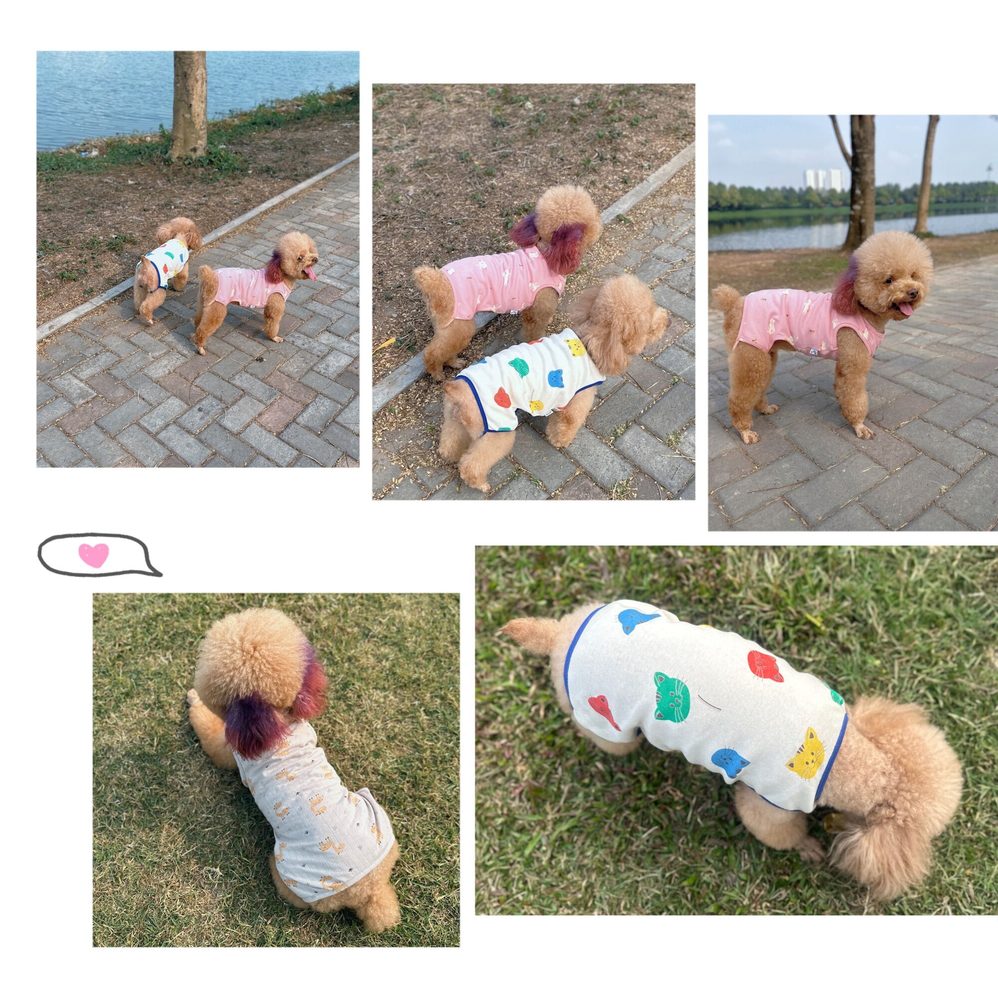 Jum sát nách thú cưng/Áo ba lỗ xuân hè chó mèo