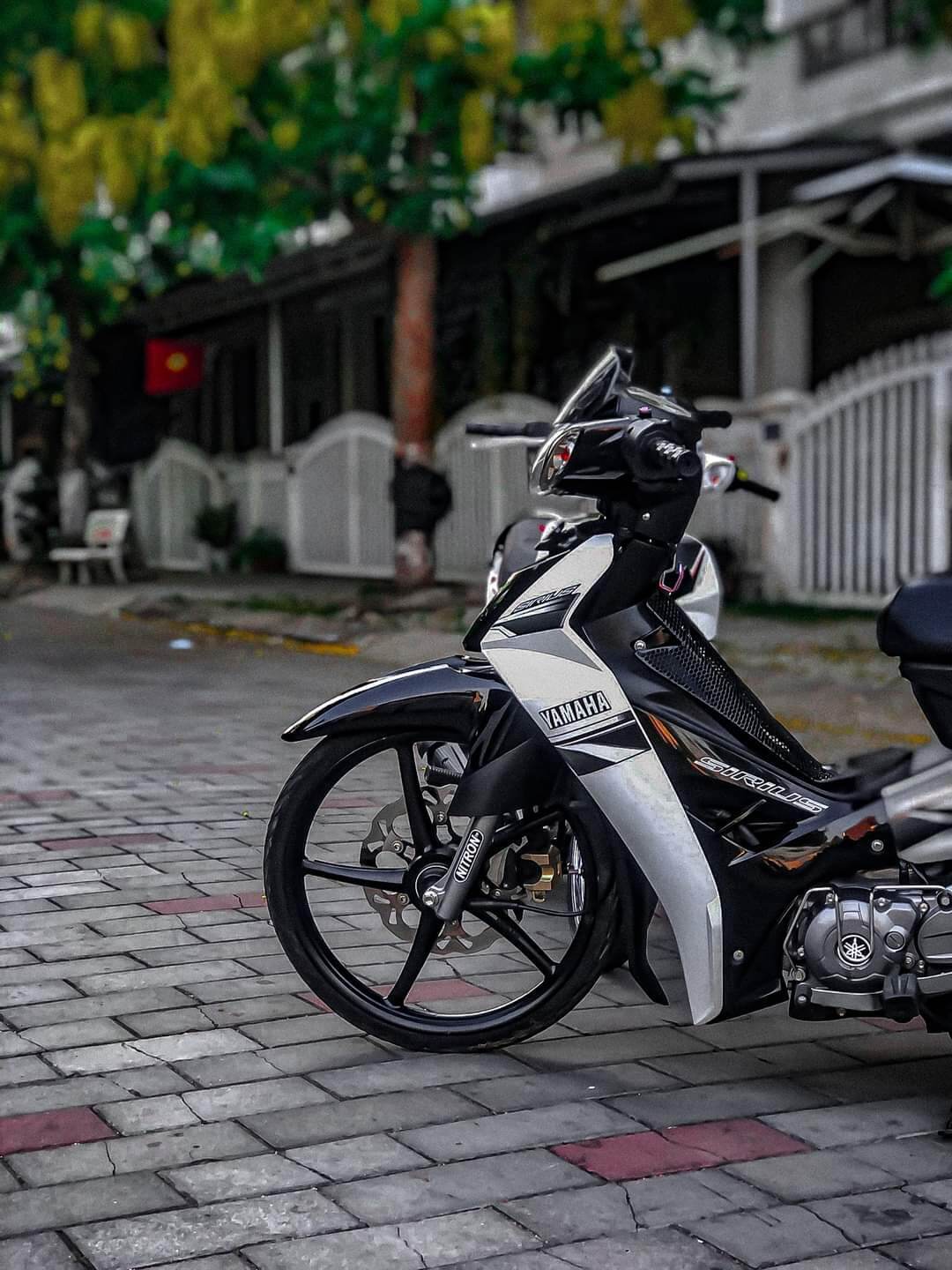 tem rời sirius trắng