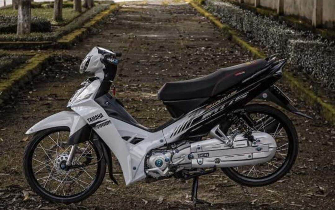 Tem rời sirius trắng đen