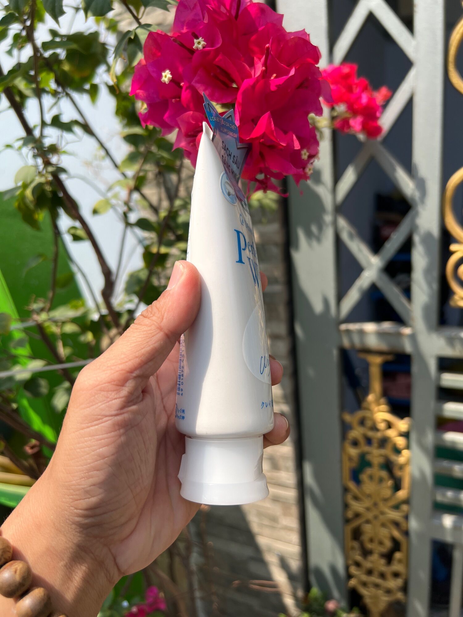 SỮA RỬA MẶT Senka Speedy 100g