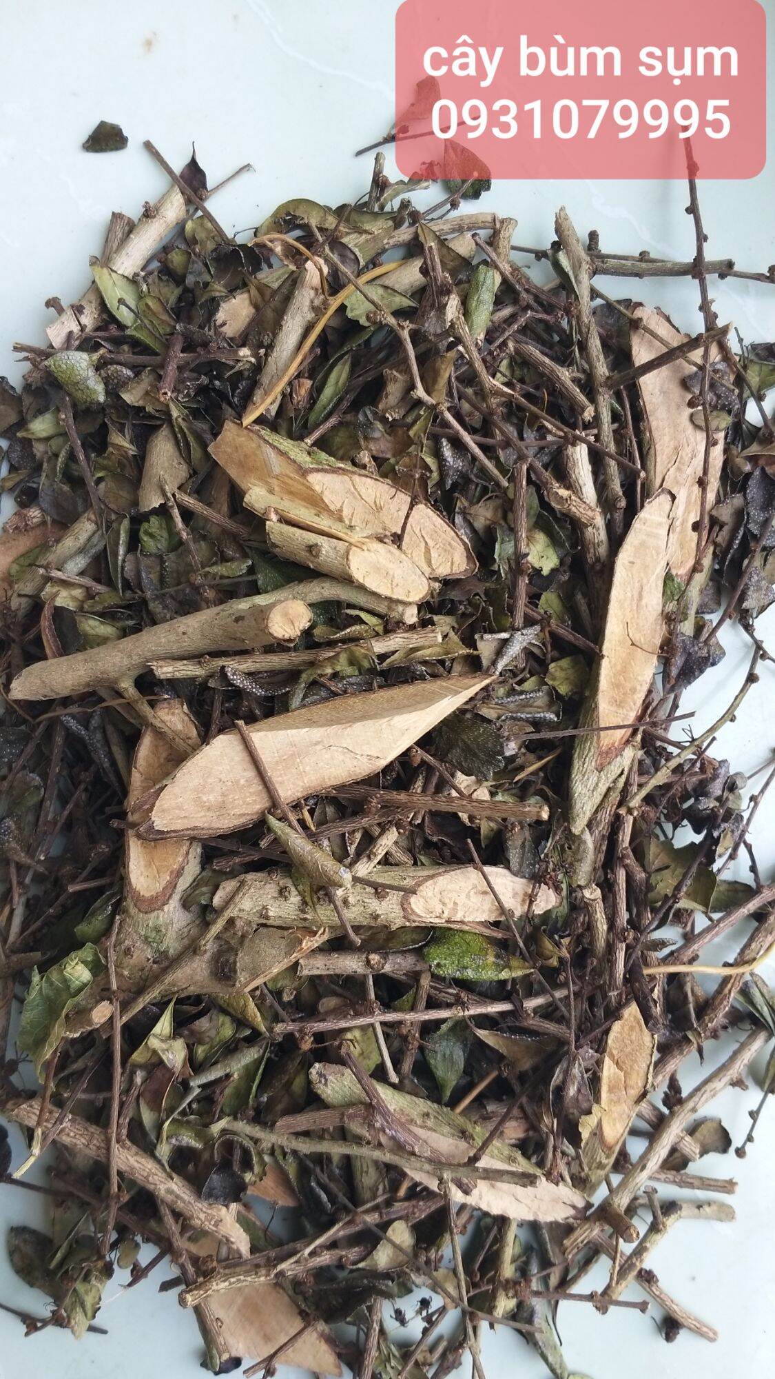 Cây bùm sụm phơi khô 1kg