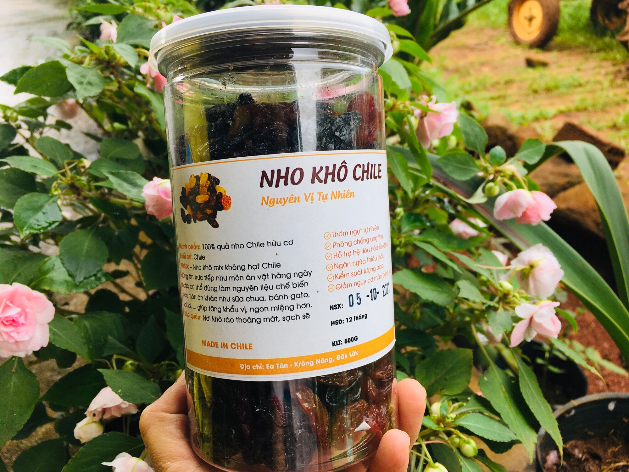 Nho chile 3 màu vàng - đỏ - đen nhập khẩu 100% 500gr