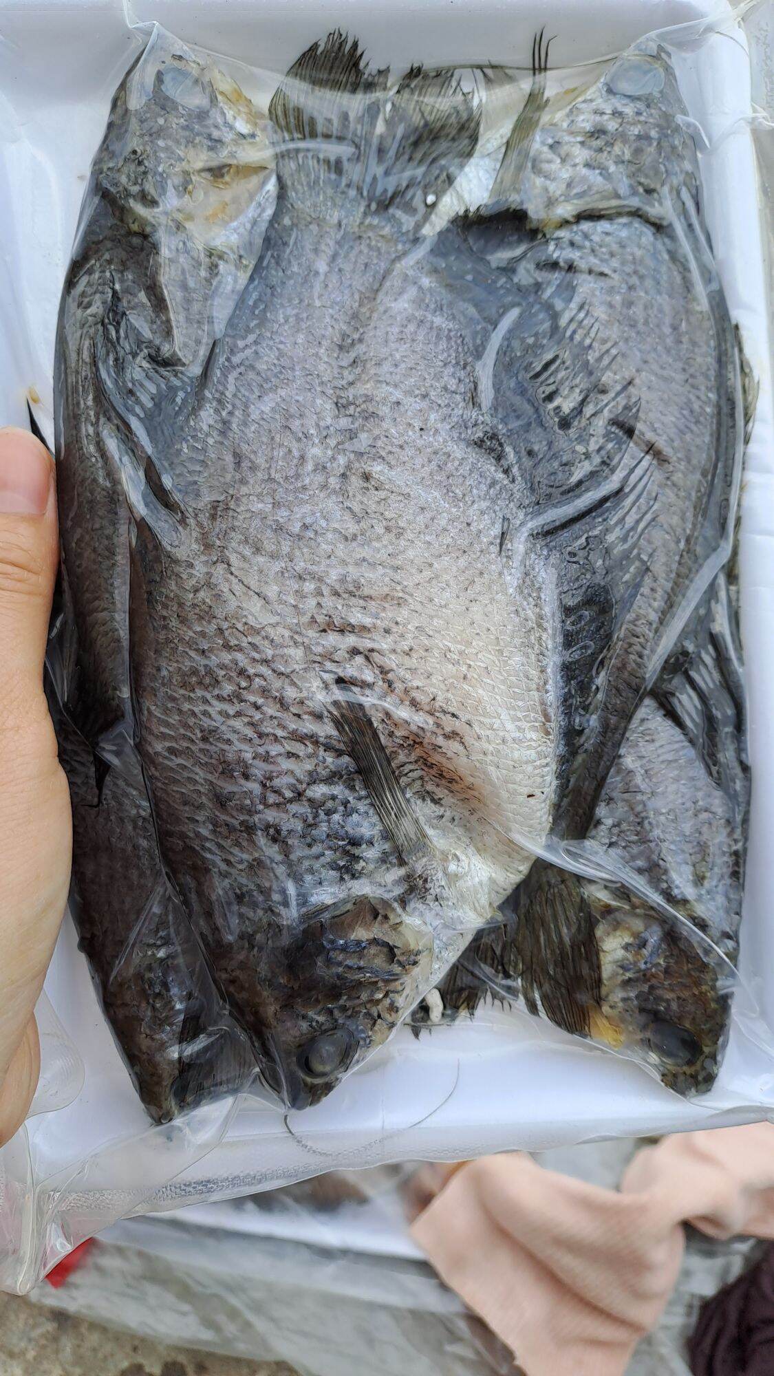Khô cá sặc bổi size 10 con/kg