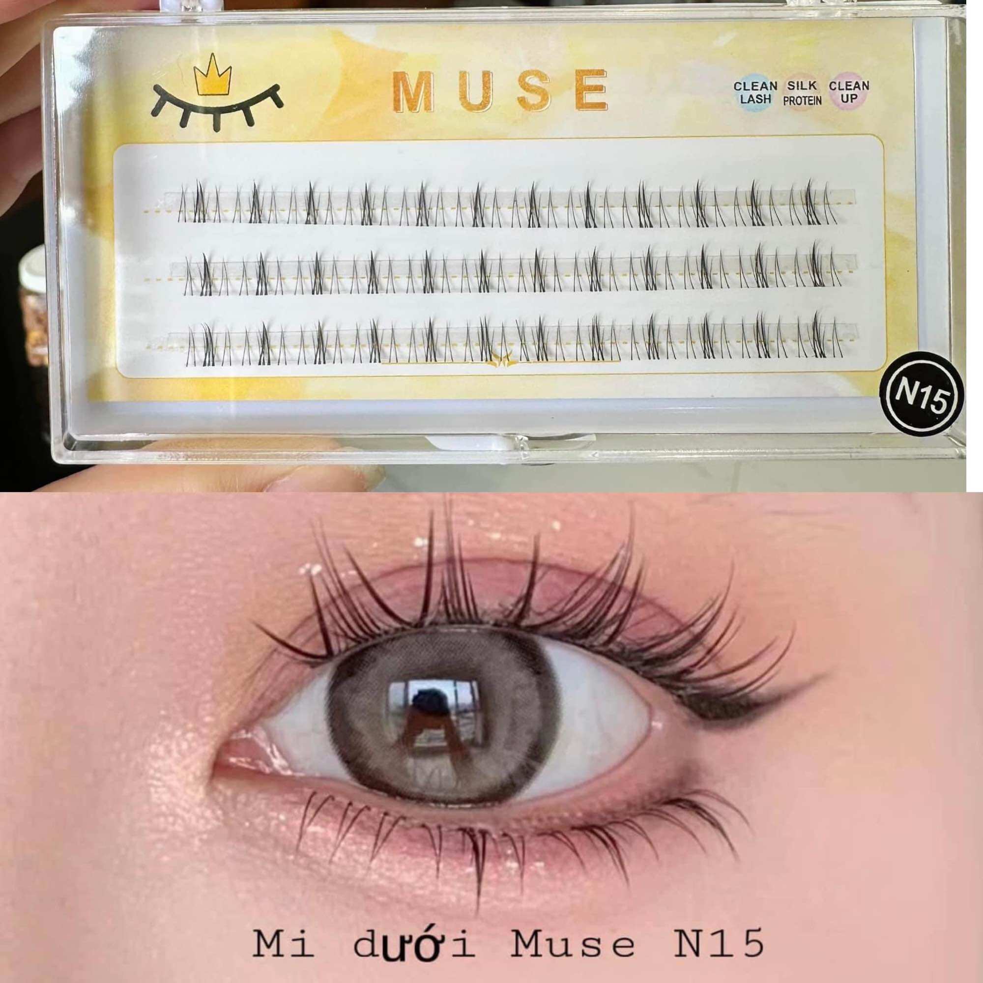 Mi dưới cụm n15