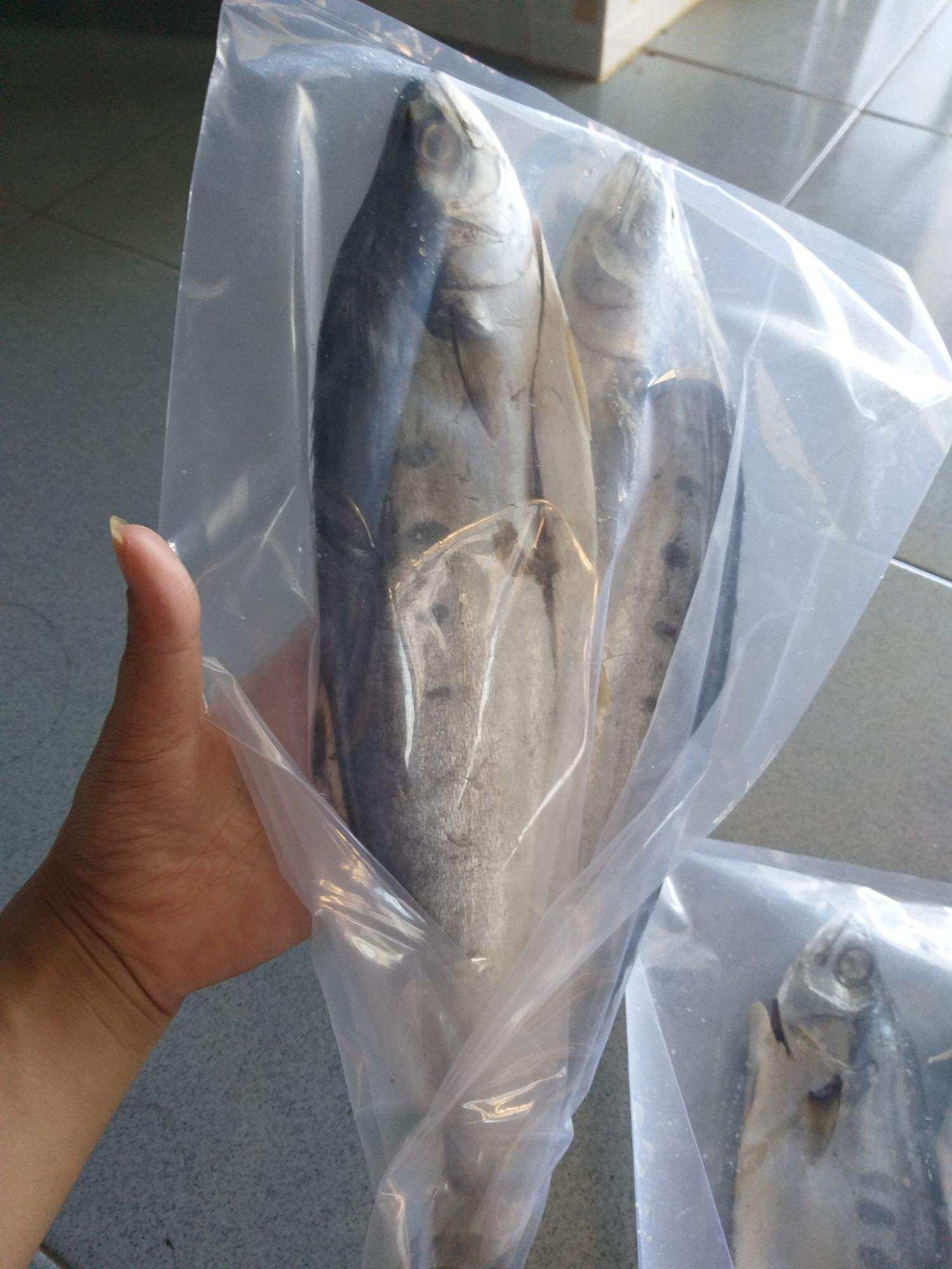 Ngon rẻ-500g Khô Cá Thu nguyên con - Cá biển Phan Thiết