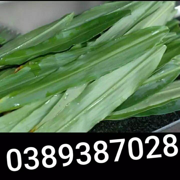 lá gừng ,100g(nhiều)