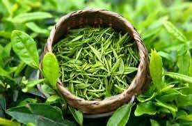 100 g trà tân cương đinh nõn