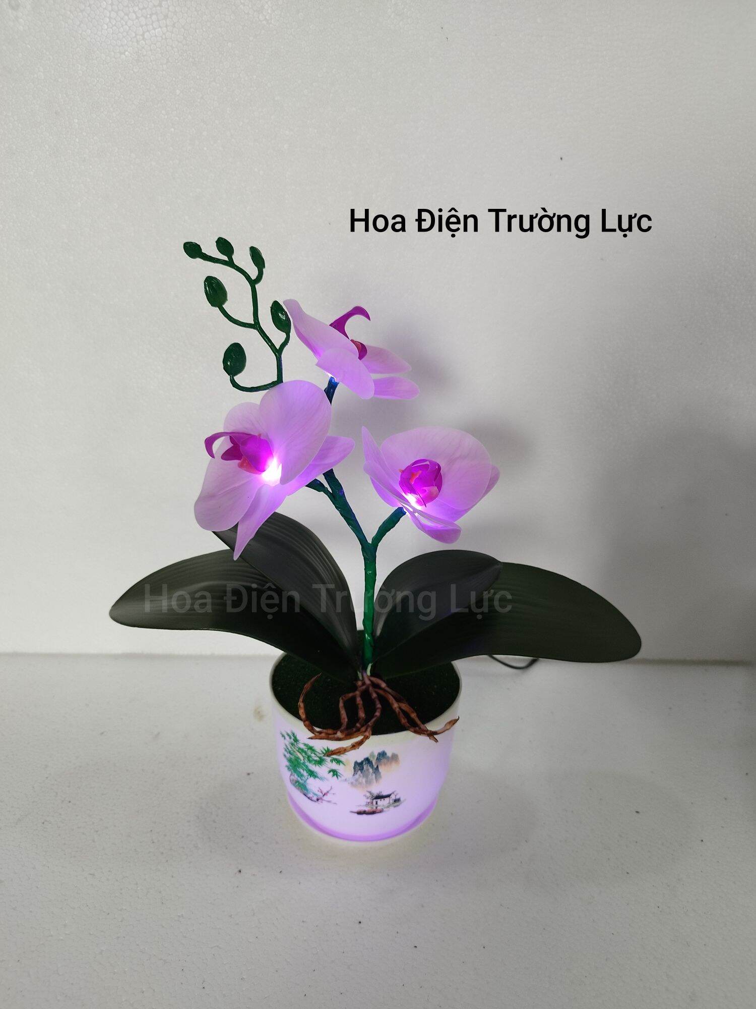 Chậu hoa lan gắn đèn cao 35 cm