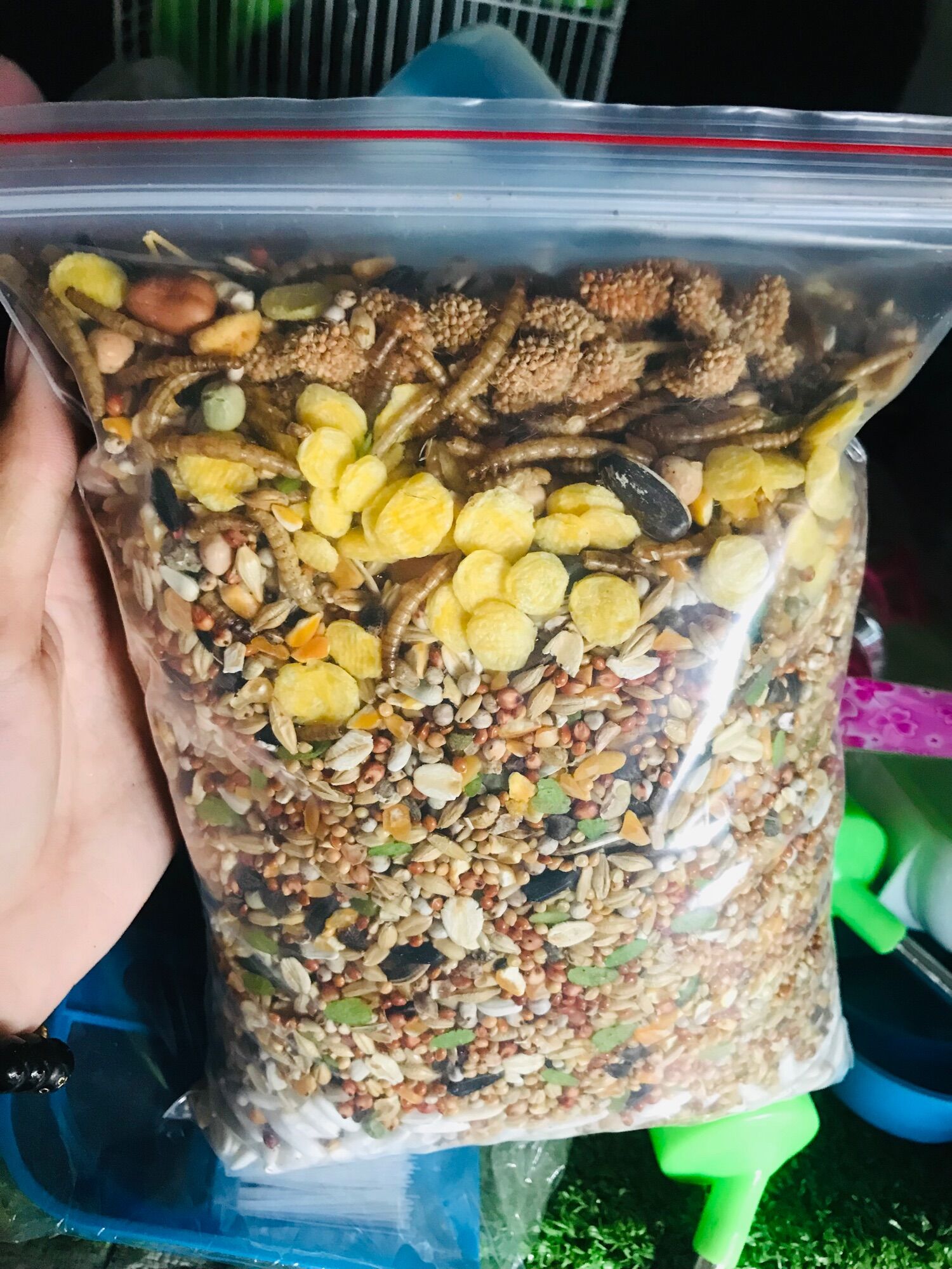 800g Thức ăn đặc biệt cho Hamster hơn 30 thành phần