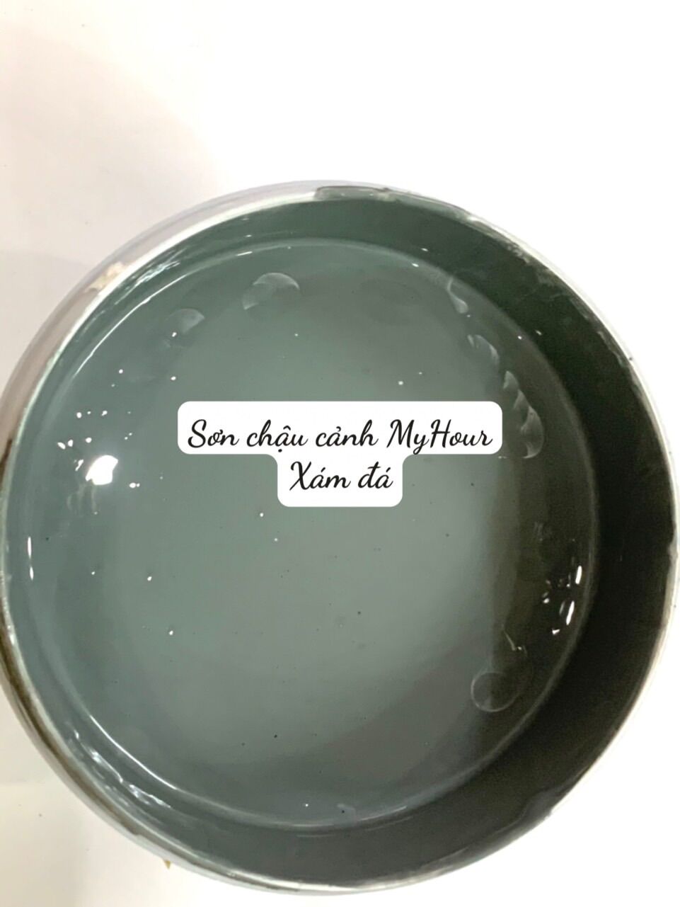 Sơn chậu cảnh màu xám đá, Sơn Chậu Cảnh, Sơn Chậu Kiểng, Sơn Trang Trí My Hour