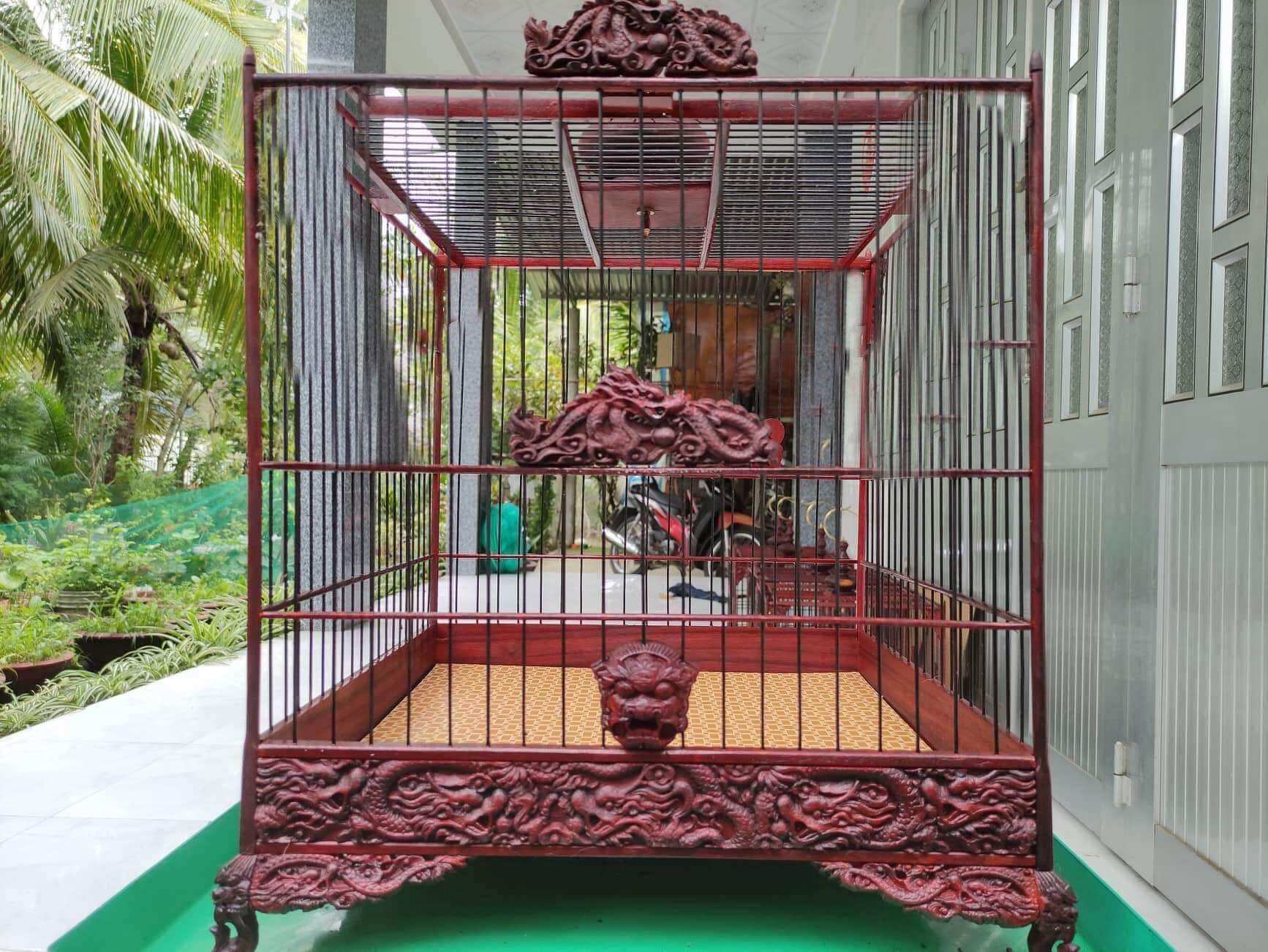 Khung tự ráp chào mào