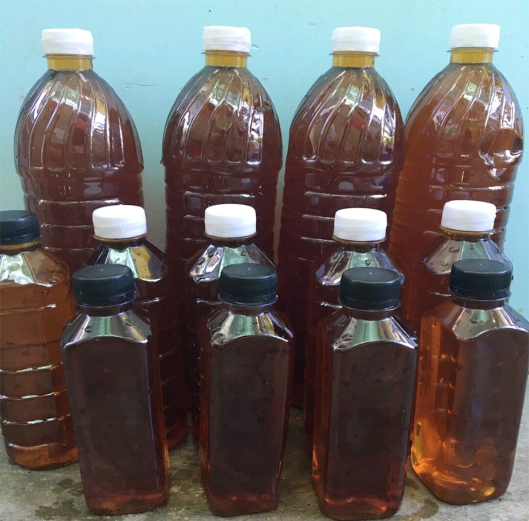 Cốt LÁ BÀNG ĐẬM ĐẶC thần dượcc CÁA CẢNH-chai 500ml(500gram)