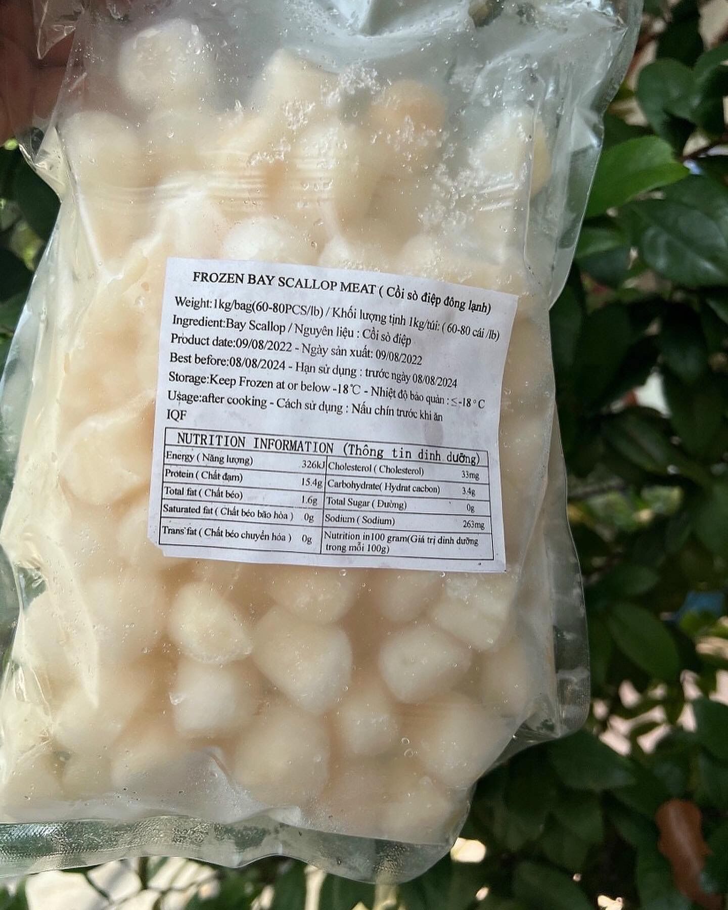 [HCM] CÒI SÒ ĐIỆP 500GR NET 7