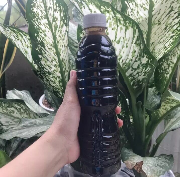 Nước màu dừa nhà nấu chai 500ml