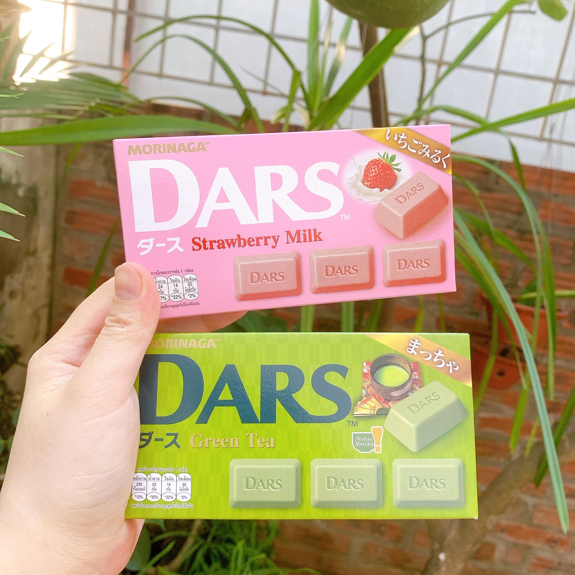 Socola Morinaga Dars 5 Vị hàng chuẩn 42g(12 viên/hộp)