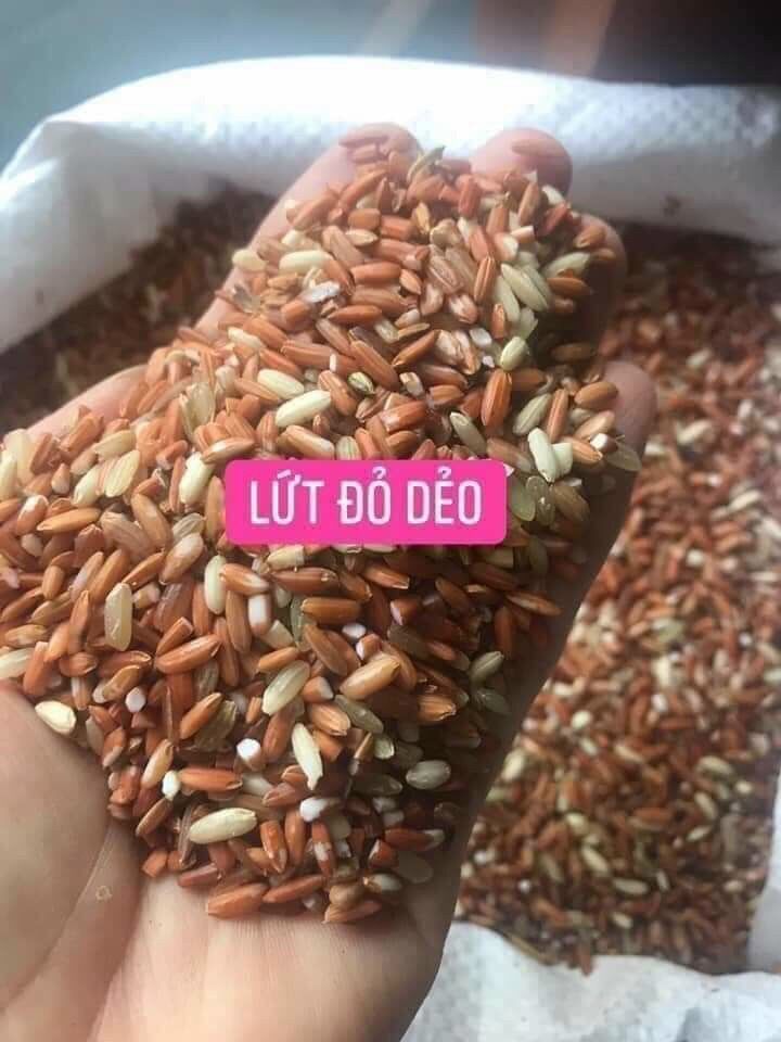 3kg gạo lứt đỏ dẻo Điện Biên đóng túi hút chân không