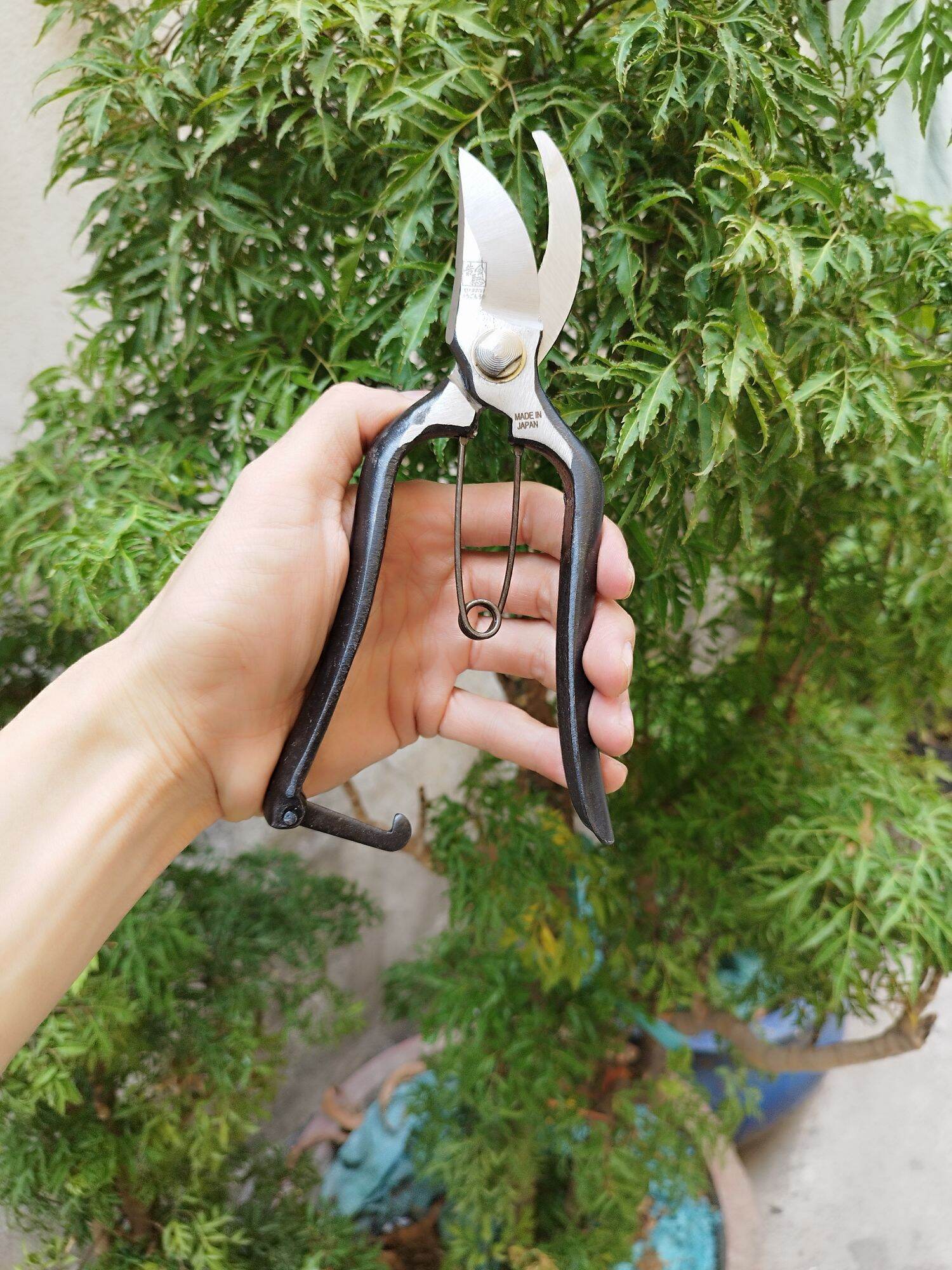 KÉO CẮT CÀNH CÁN ĐÚC HÀNG NHẬT BÃI MỚI 90%