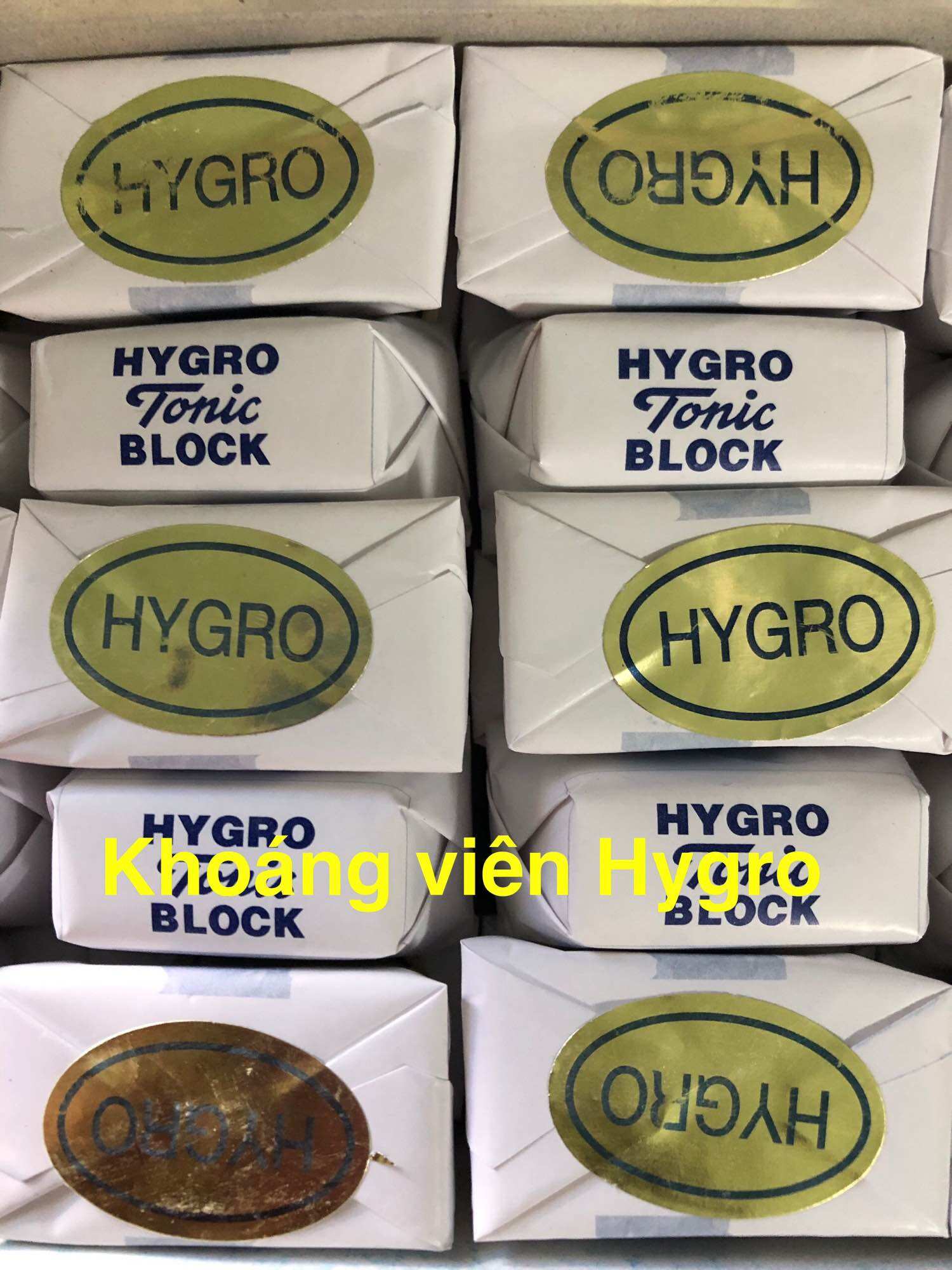 Khoáng Hygro cho chim sinh sản