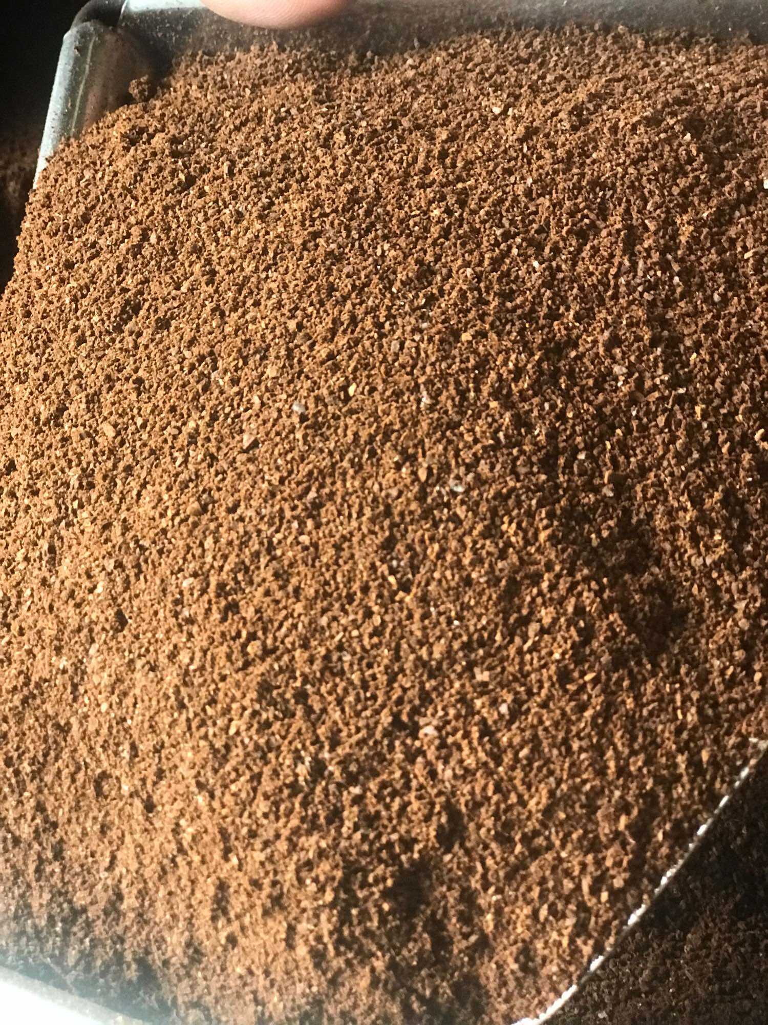 1Kg CAFE ARABICA RANG MỘC