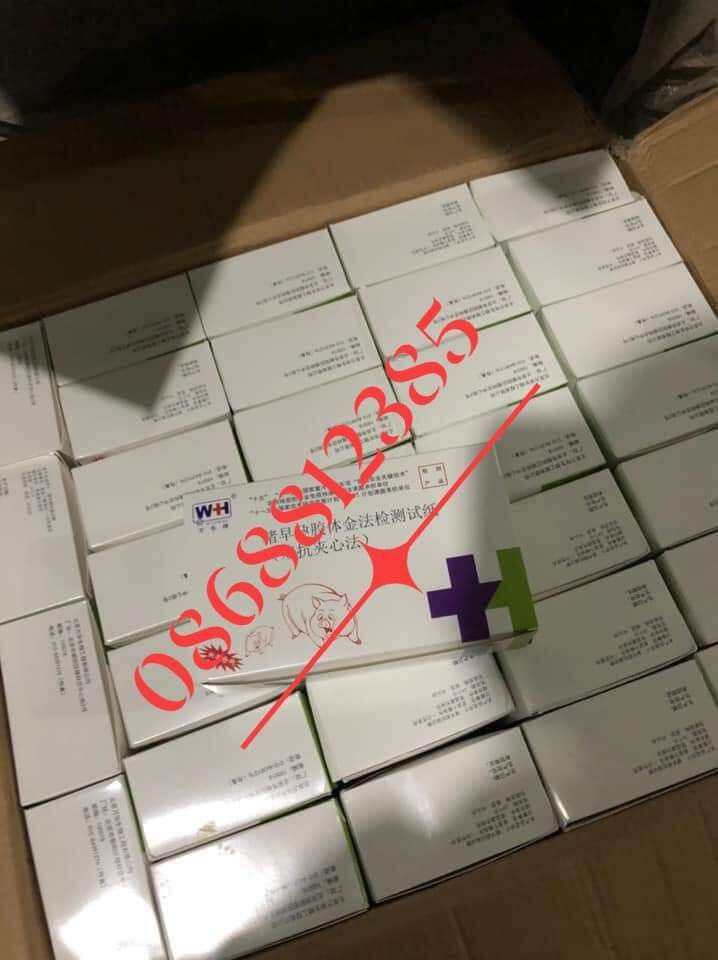 5 QUE THỬ THAI HEO - 0868812385