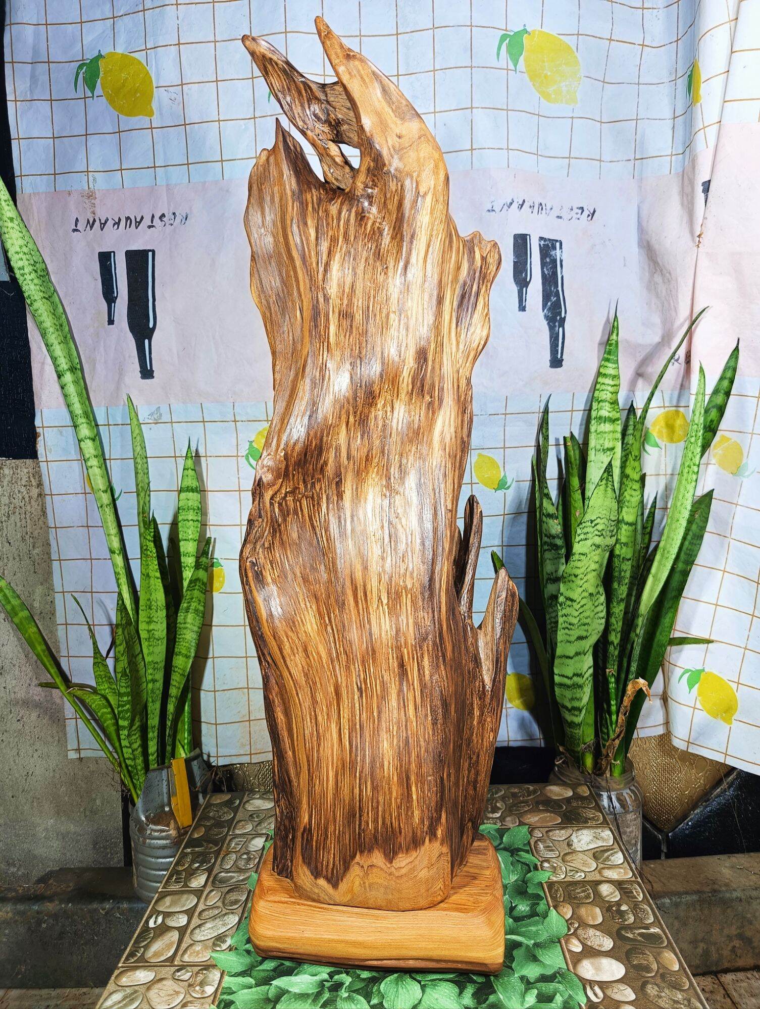 lũa ngọc am đỏ hà giang, hàng rễ bao thơm