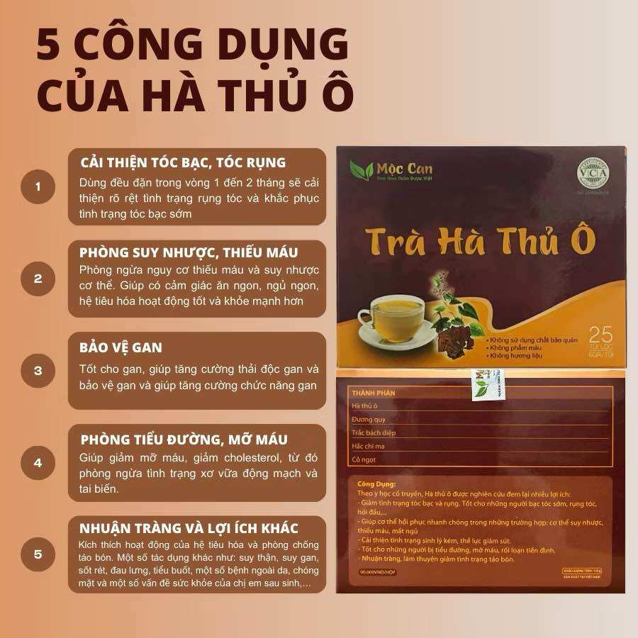 Combo 3 hộp Trà cao hà thủ ô Mộc Can xanh tóc đỏ da