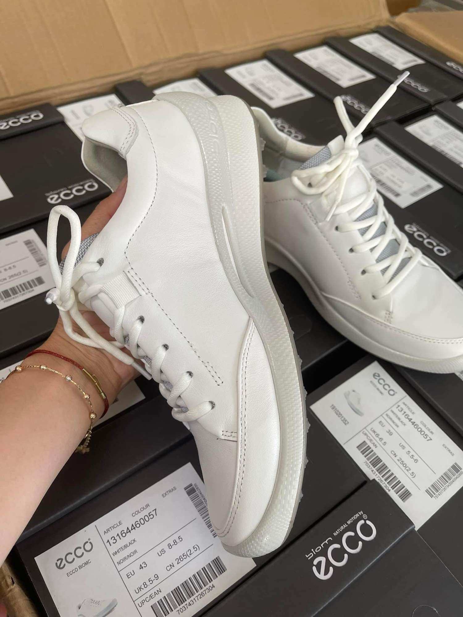 Giày Golf Ecco nam mẫu mới dây buộc