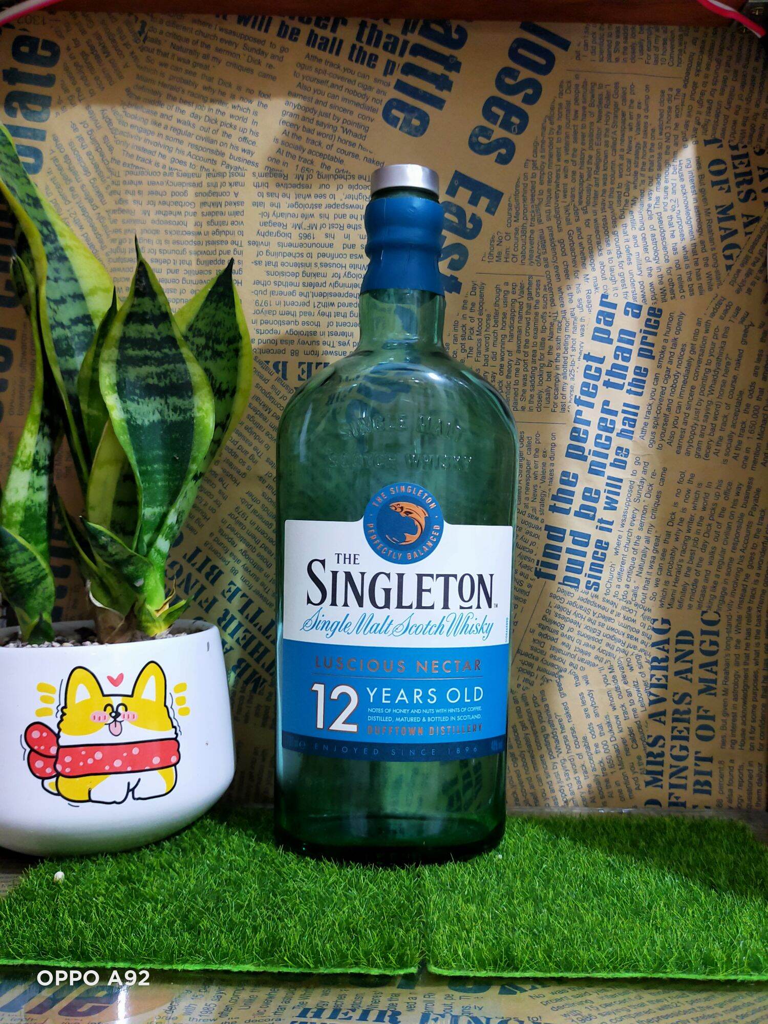 Vỏ chai Singleton thủy tinh màu hộp gỗ đẹp