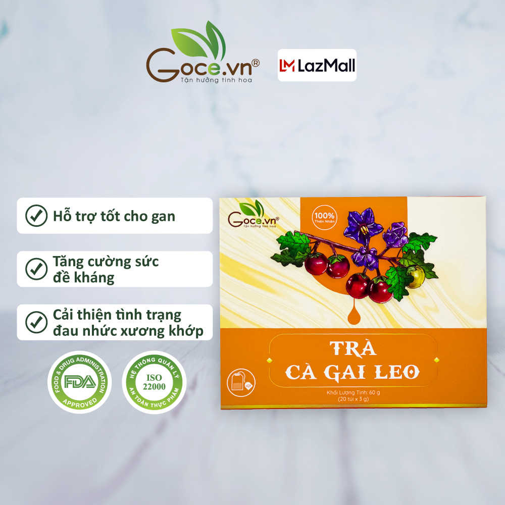 Trà cà gai leo túi lọc Goce - Tốt cho gan và xương khớp