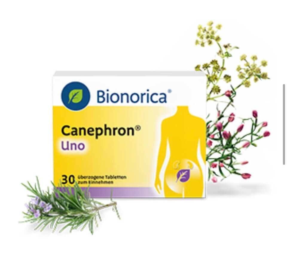 Bổ thận hiệu quả cao lành tính Bionorica 30v - Bill Đức
