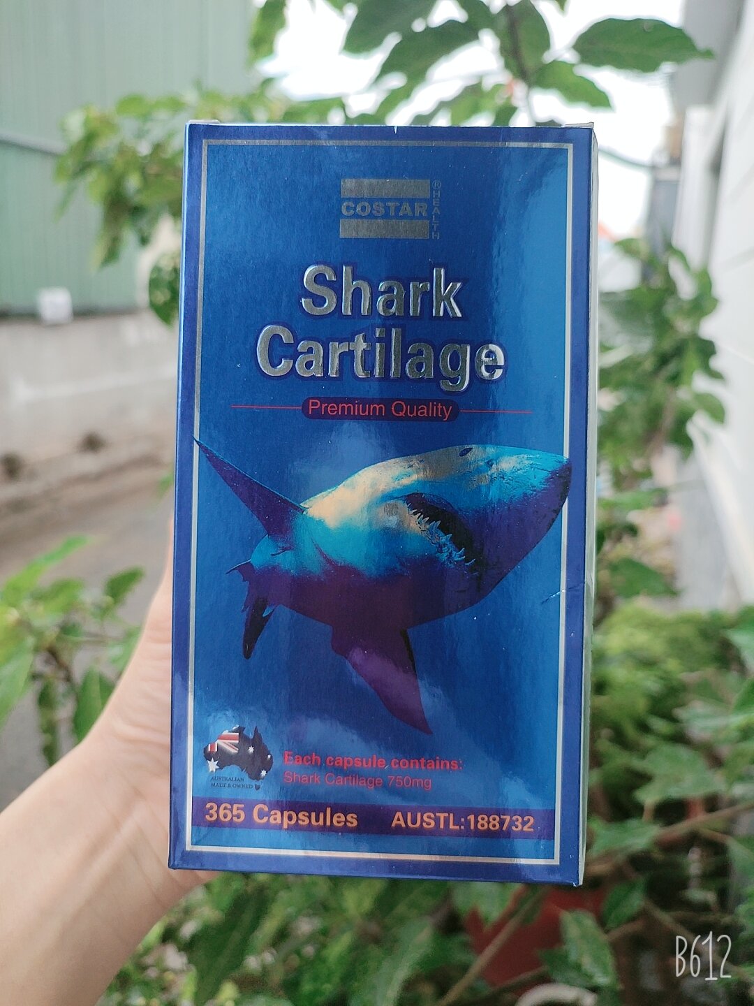 Viên sụn cá mập Shark Cartilage 750mg 365 viên