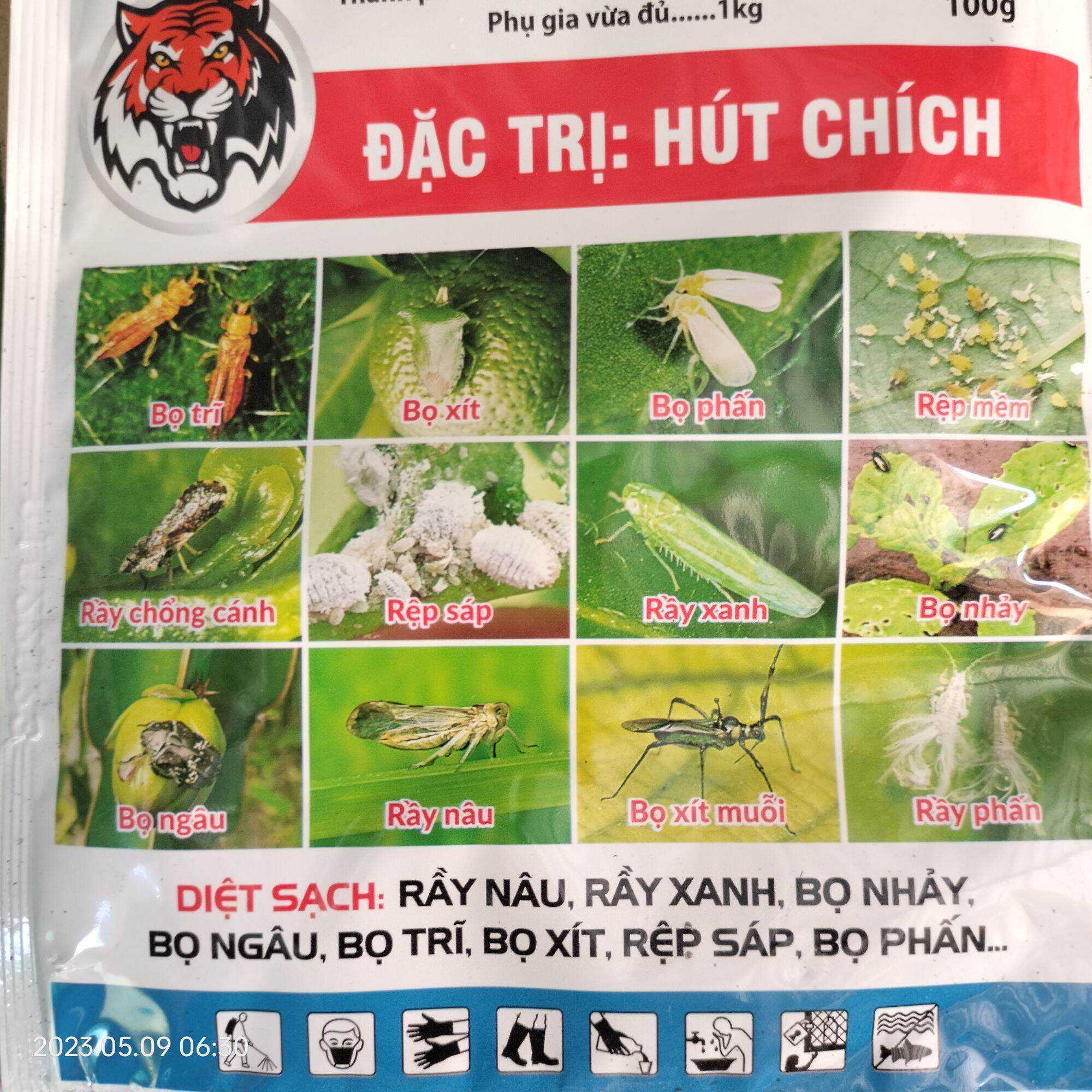 Diệt rầy xanh, rầy cám, côn trùng chích hút