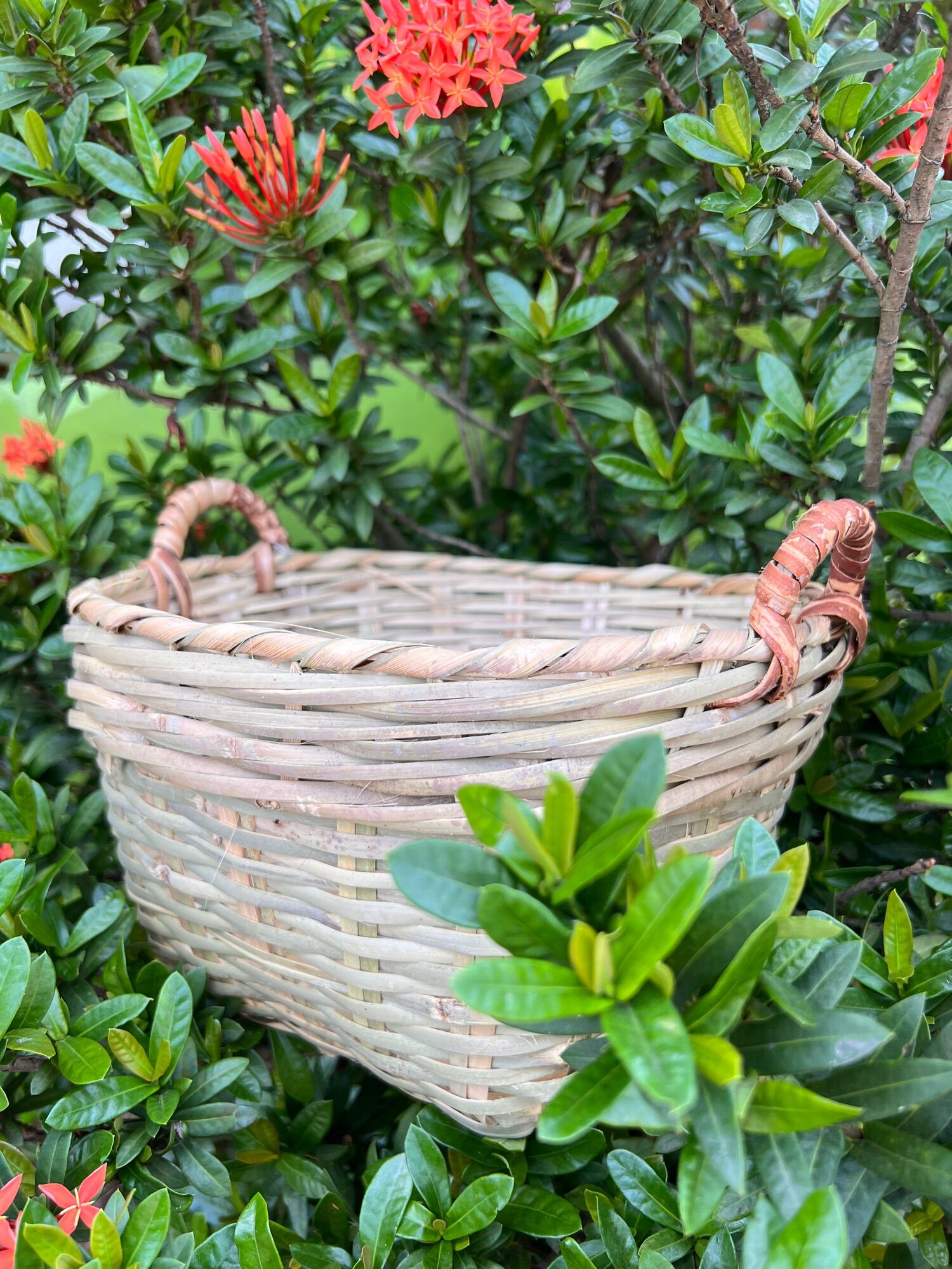Rổ tre vuông cần xé tre quai mây