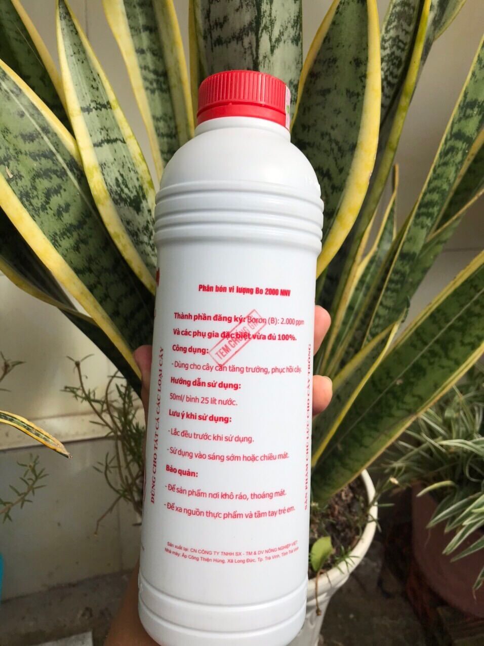 Siêu dưỡng Max root bung đọt ra rễ cực mạnh chai 1L