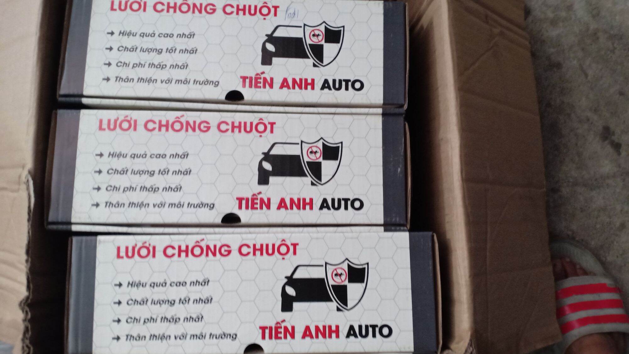 Lưới chống chuột cho xe ôtô Ford