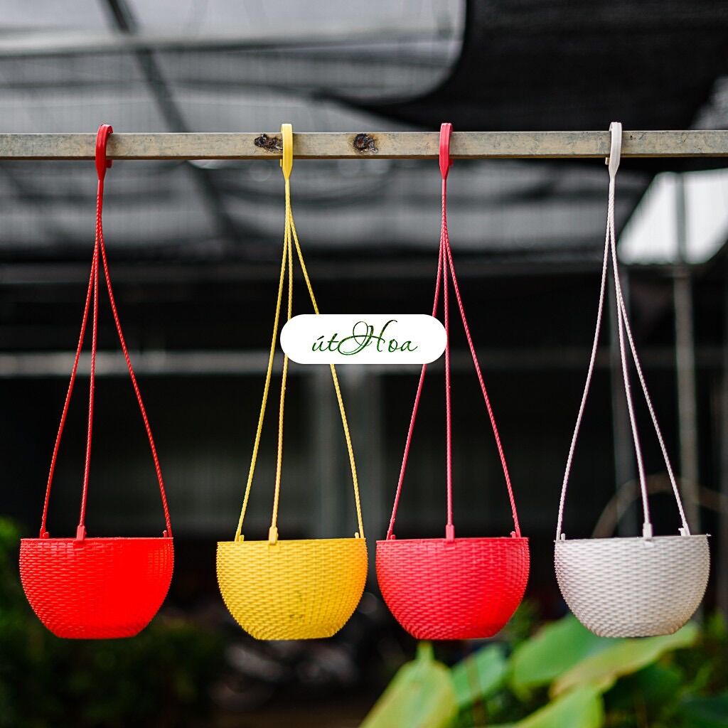 Combo 10 chậu treo mây lớn đủ màu (kèm dây treo)