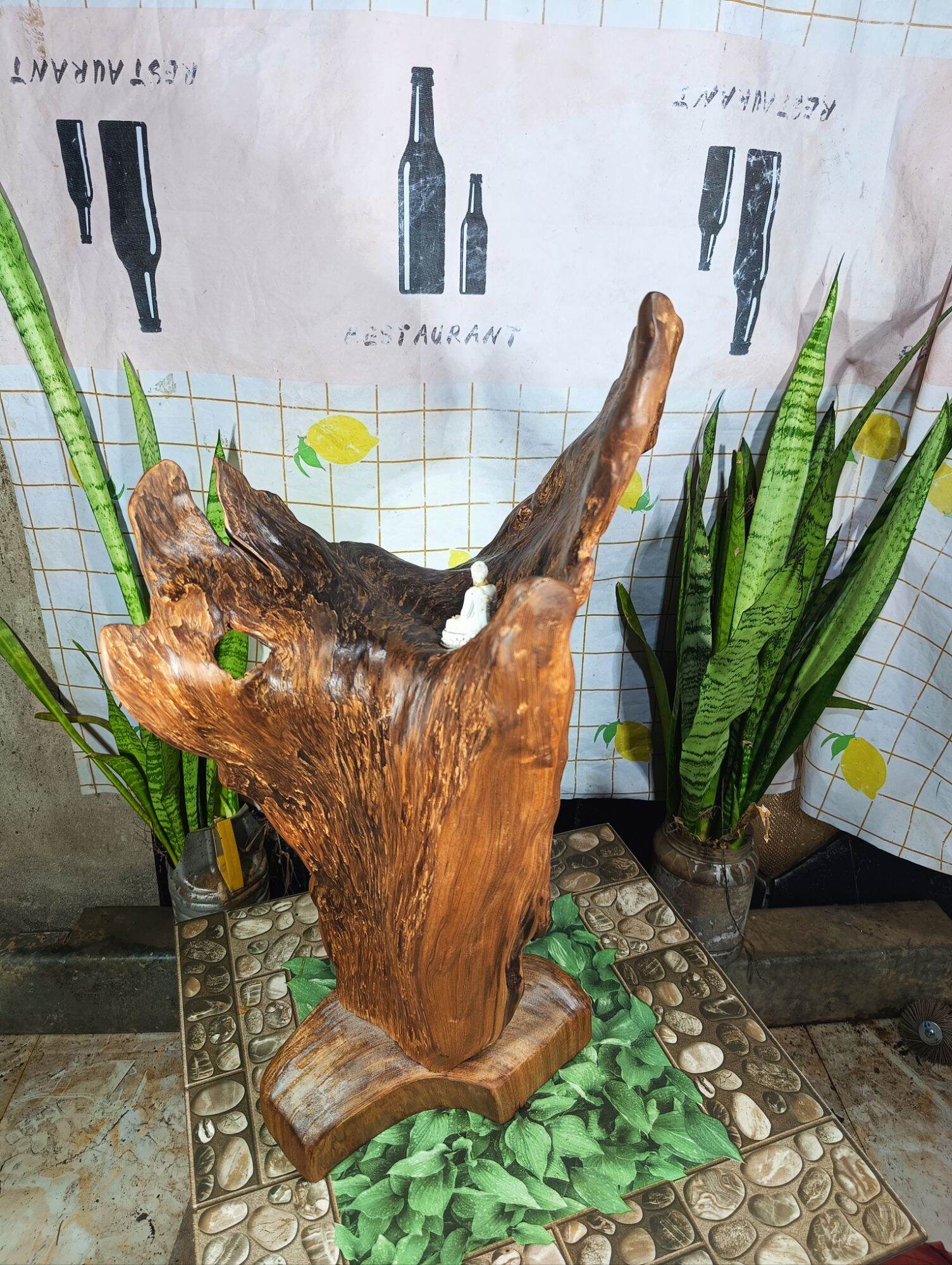 lũa ngọc am đỏ hà giang