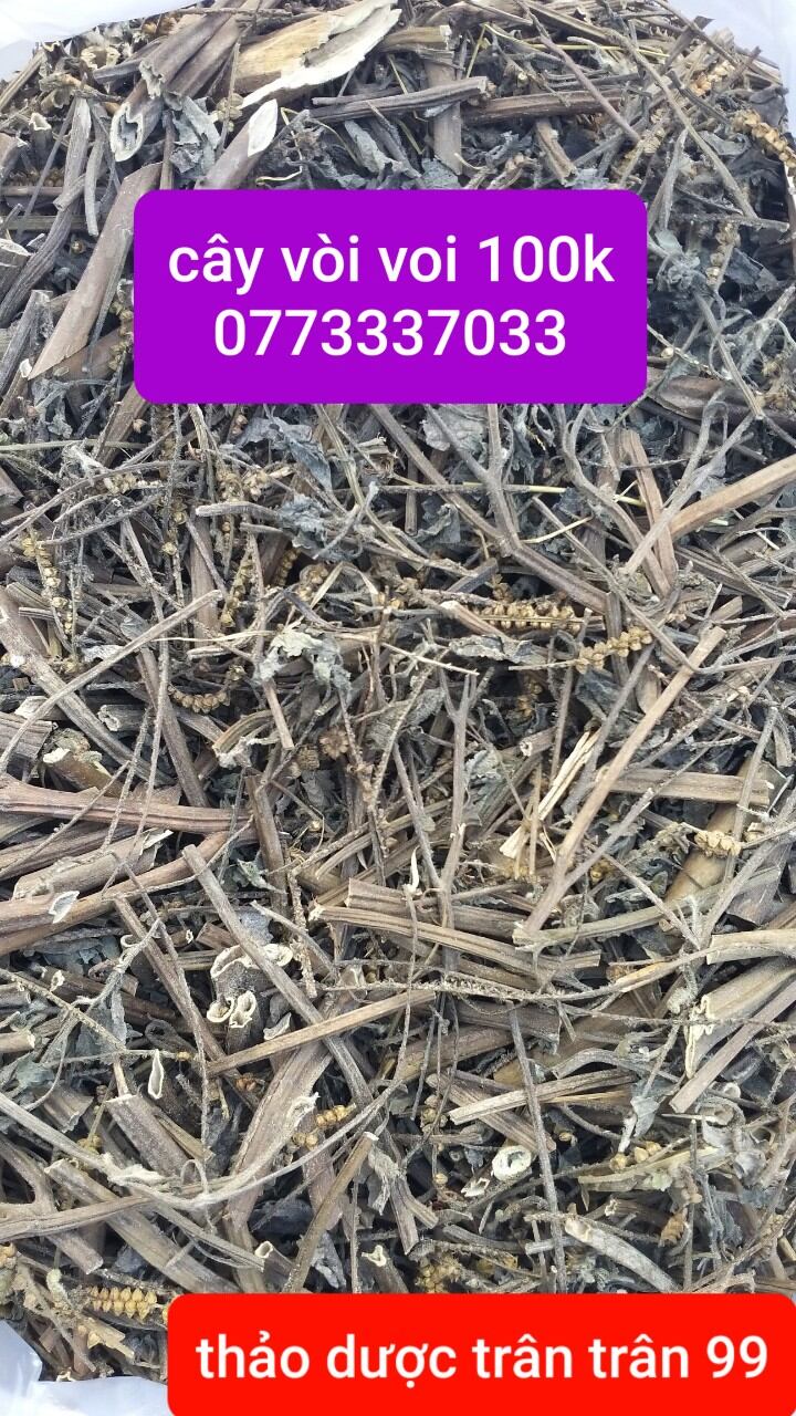 cây vòi voi phơi khô 1kg