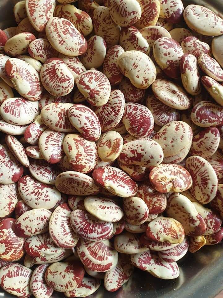 Đậu ngự 1kg