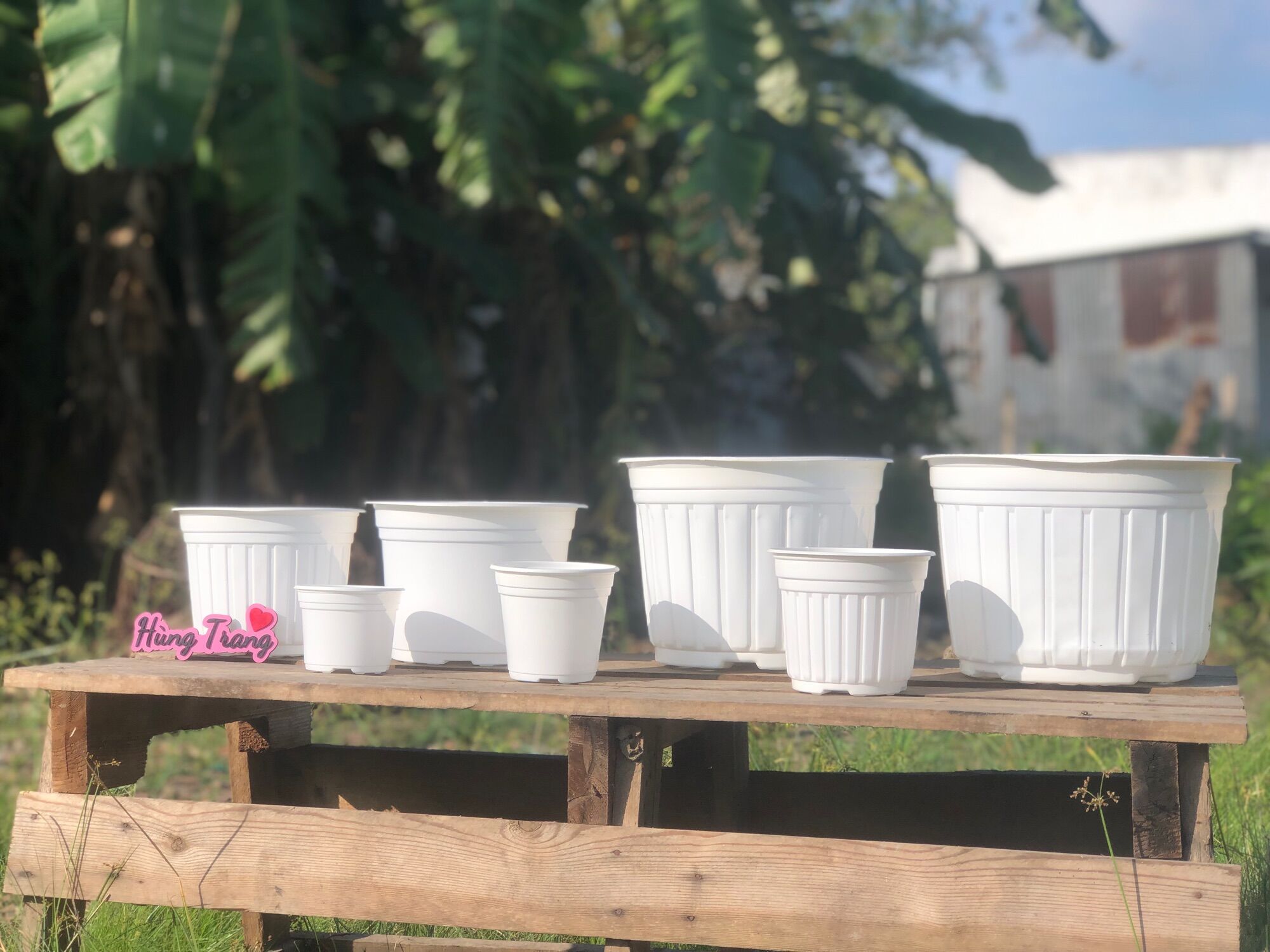 Chậu nhựa Trắng T26 combo 10 chậu