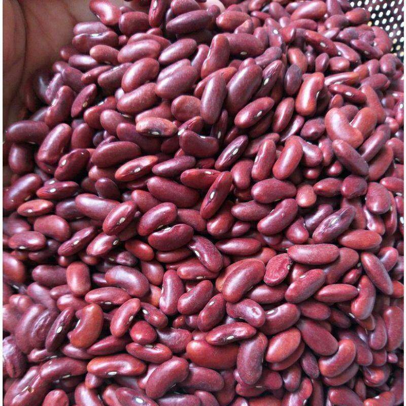 Hạt Đậu Đỏ Hạt To-nhỏ