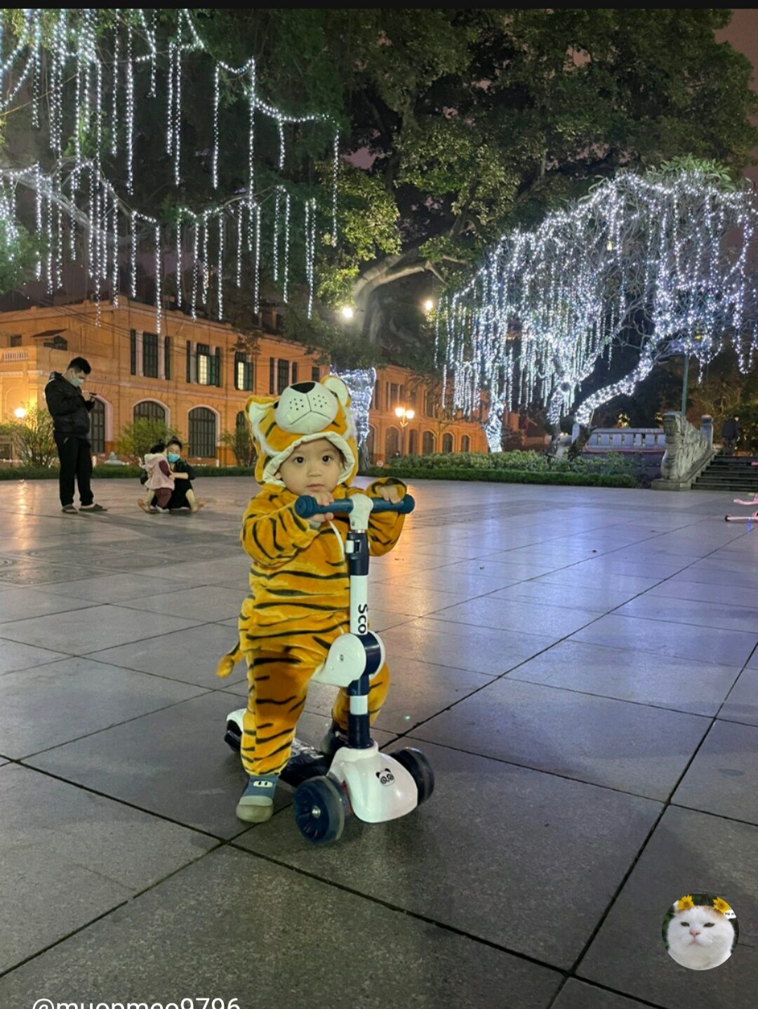 Bộ body nhung hình con hổ cho bé