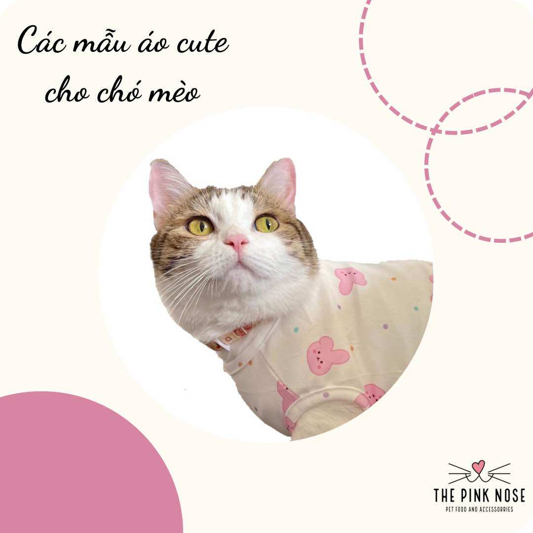 ✨✨ áo có sẵn cho chó mèo ✨✨