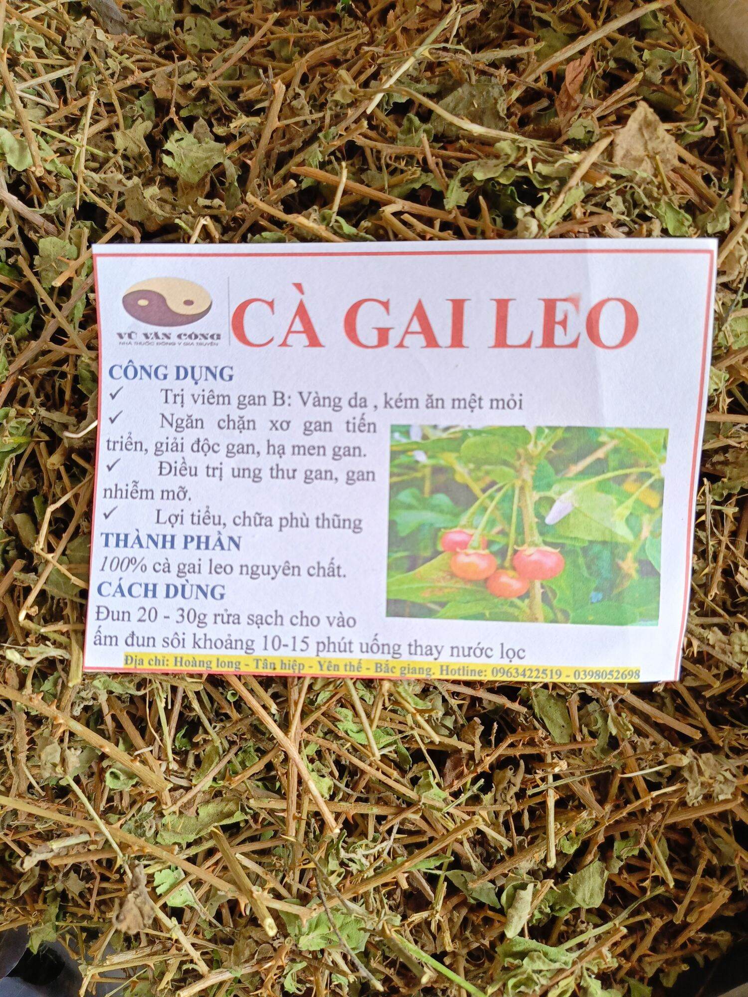 Cà gai leo 1 kg khô sạch